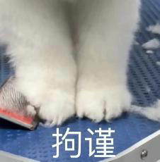 1799拿下7100mAh，刚发布这千元机，给我整不会了