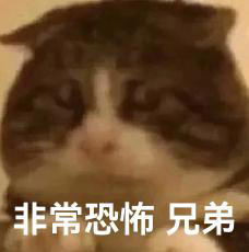 1799拿下7100mAh，刚发布这千元机，给我整不会了