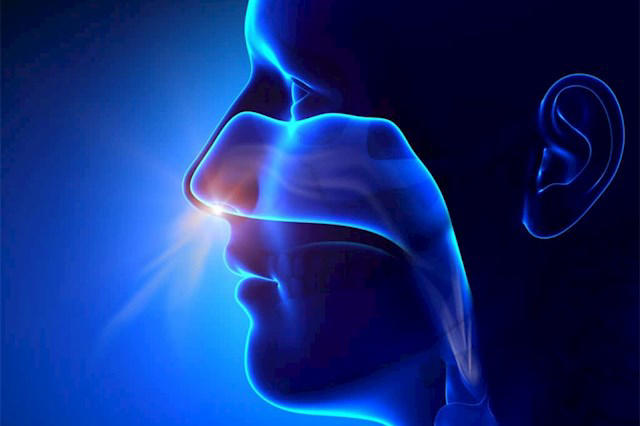 央视主持人朱迅在景区救人：网友点赞
