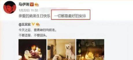 看见马伊琍深夜官宣喜讯，才意识到，她已是文章高攀不起的存在！