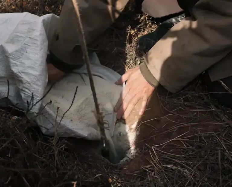 收视第一，全员狠人，我断言：央视这部剧，又要火向全国了