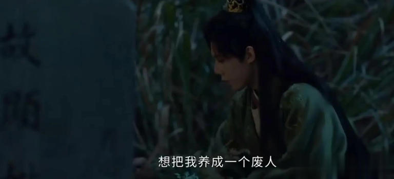 藏海传结局 揭秘纨绔公子庄之行成大将军真相
