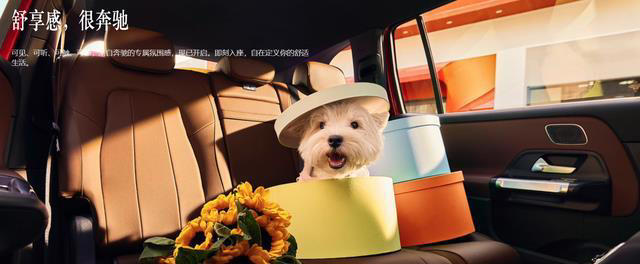 奔驰7座SUV，只要20万起！