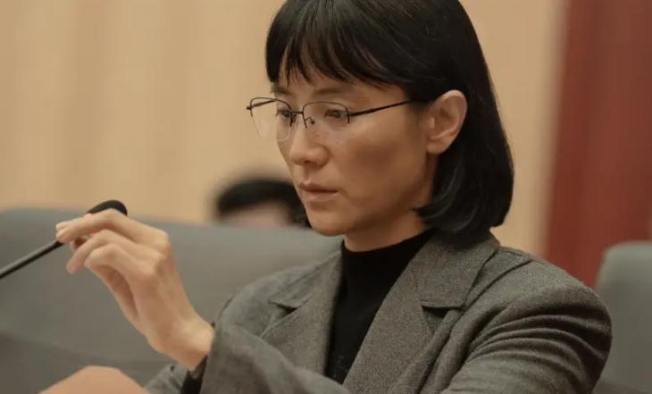 终于来了！胡歌宋佳雷佳音主演，央八开播，这部24集短剧熬夜也要追