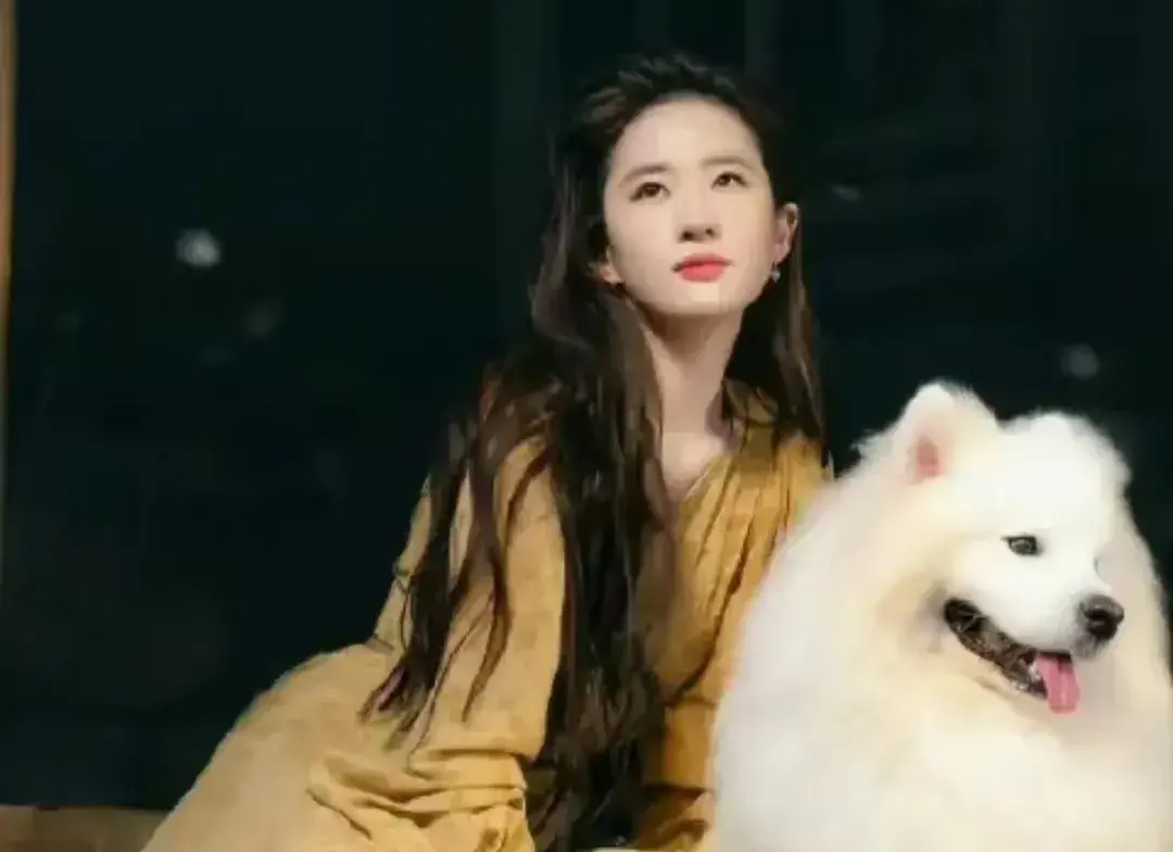 都是创新剧，刘亦菲成第一个吃螃蟹的人，赵丽颖却步杨幂后尘