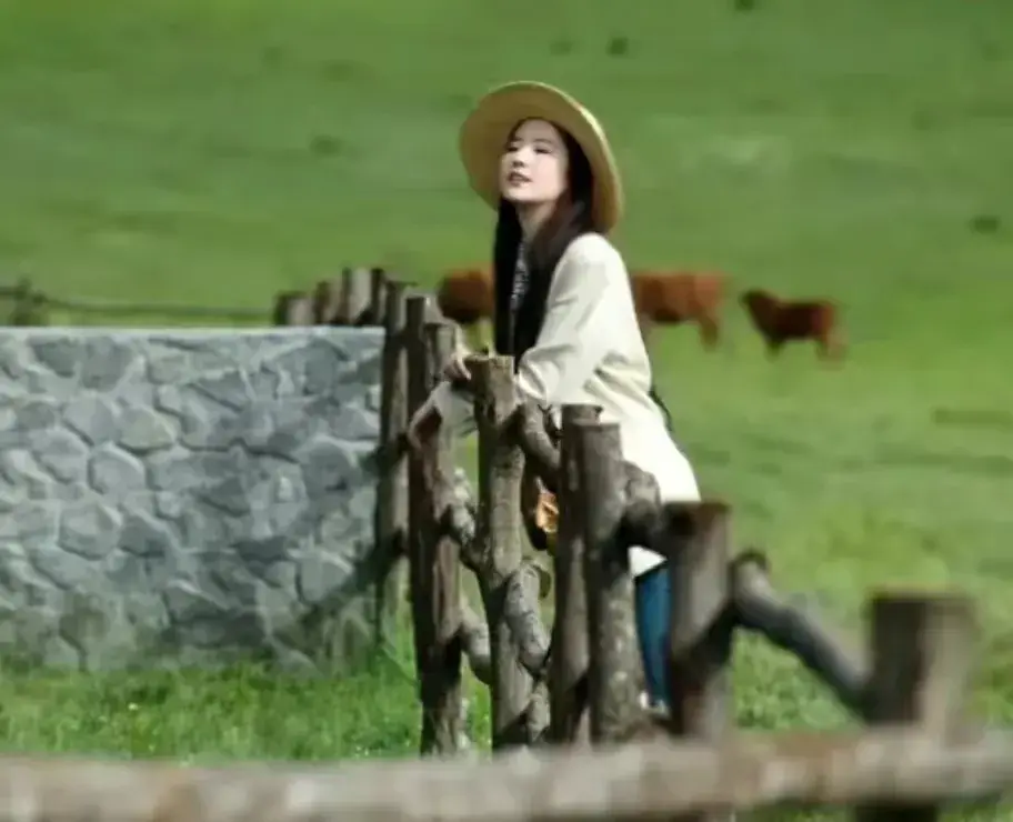 都是创新剧，刘亦菲成第一个吃螃蟹的人，赵丽颖却步杨幂后尘