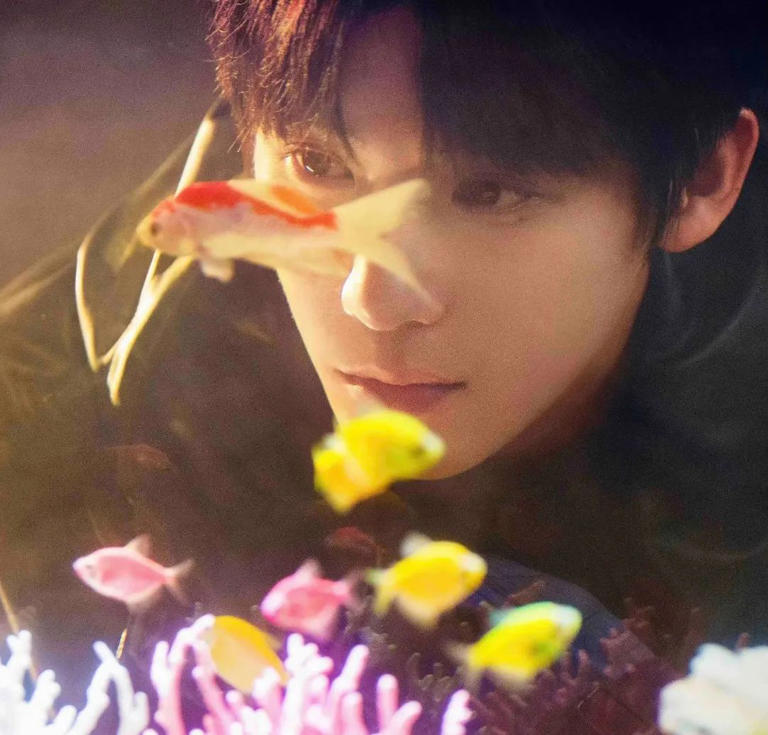 27岁王安宇，学霸底色与脆弱感交织，真诚诠释内娱新生代演员的独特魅力