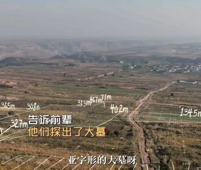 《护宝寻踪》黎远光得知文雯怀上穆见晖的孩子，才知，赵佑林输了