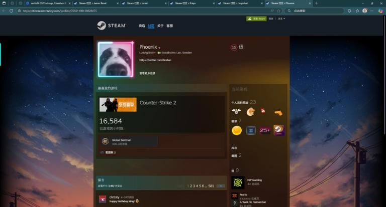 csgo知名职业哥 steam主页及链接大全（上）