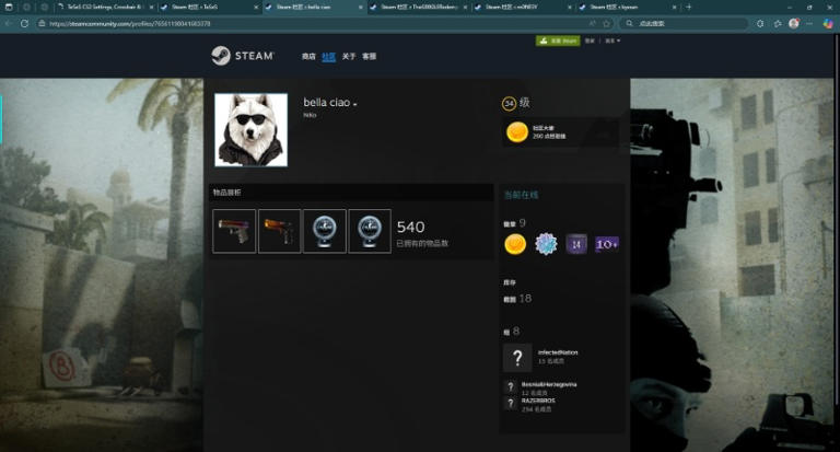 csgo知名职业哥 steam主页及链接大全（上）