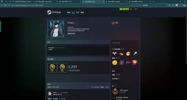 csgo知名职业哥 steam主页及链接大全（上）