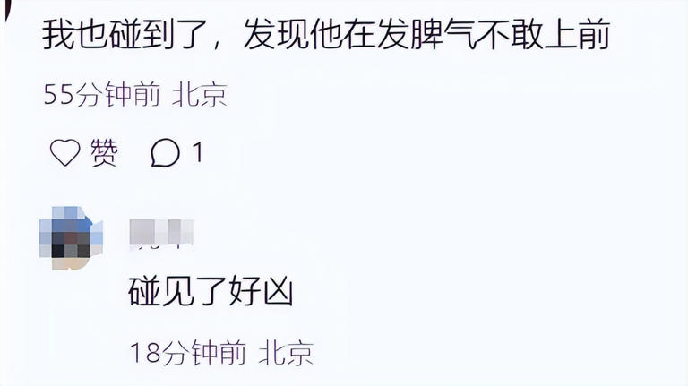 又闹到法院？一场“私生活”闹剧，戳穿了74岁张纪中的真实处境