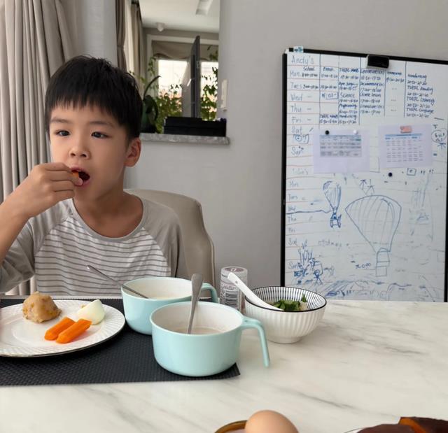 离婚后，黄圣依杨子一人带一个儿子，感叹：我还是需要他付抚养费