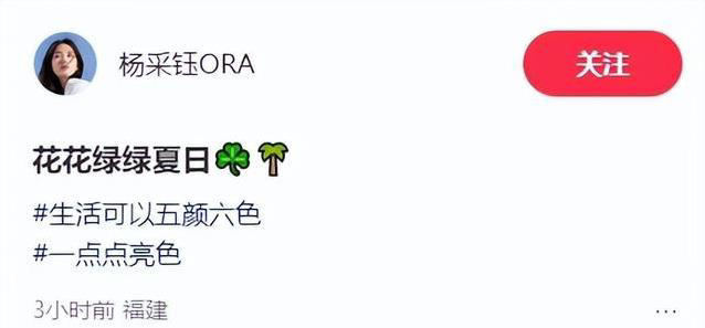 32岁杨采钰怀孕晒照，包挡不住孕肚脚却肿了，孩子性别引热议？