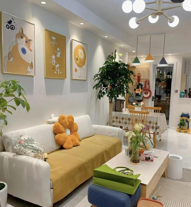 家有五花，养人旺家，很实用