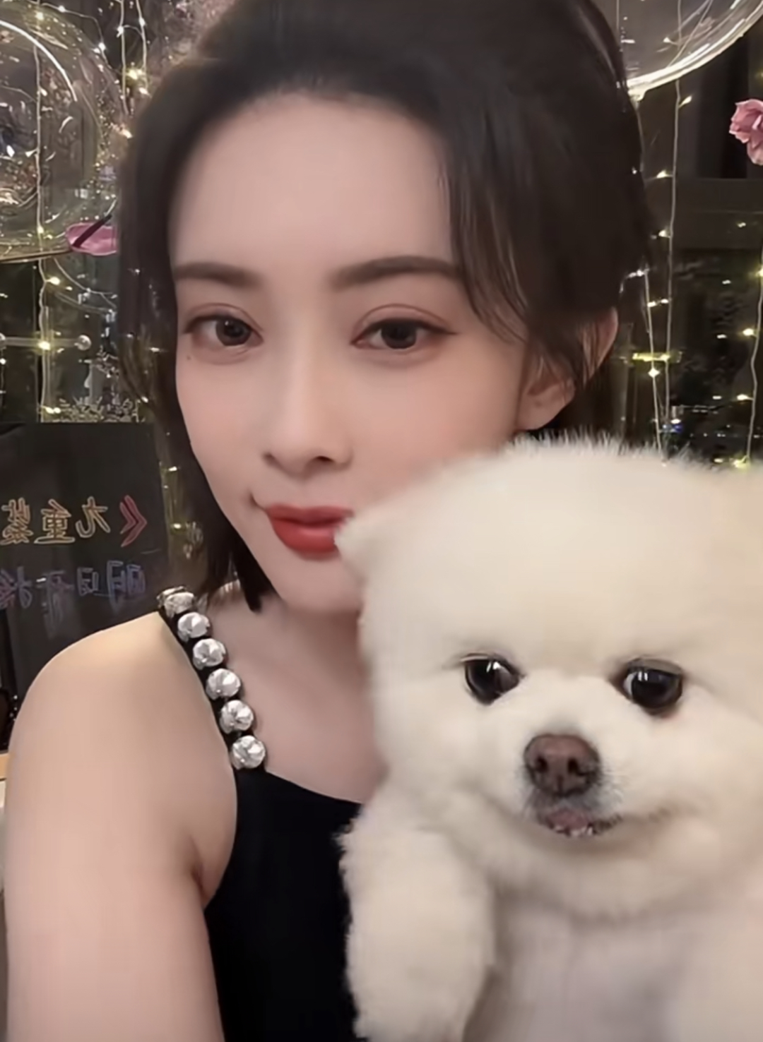 就在昨天，曾舜晞在综艺录制现场对着镜头大吐苦水：“巧克力是我最生气的一只狗！”原因让人哭笑不得——孟子义的柯基犬巧克力，竟然多次在他的房车上大便，害他不得不专门清理。 更巧的是，当天就有粉丝拍到巧克力当街“重现经典”的画面，这下全网都跟着笑