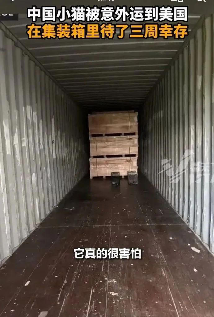 йСè˵  ʳˮ3