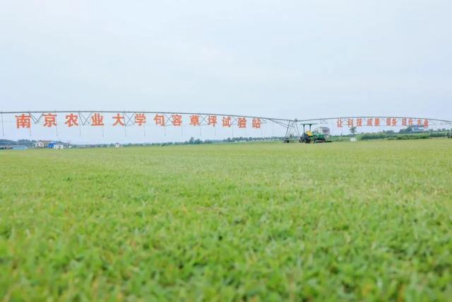 央视点赞！“苏超”草坪就在镇江！
