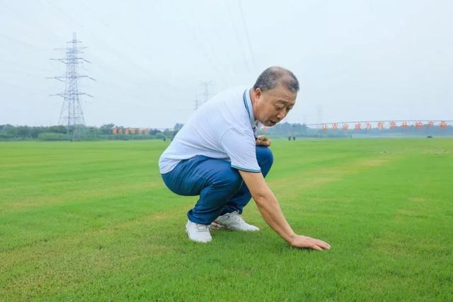 央视点赞！“苏超”草坪就在镇江！