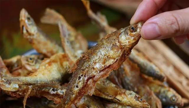 夏天吃鱼，懂行的专挑它！比鲫鱼营养，比鲤鱼鲜，不懂吃真可惜