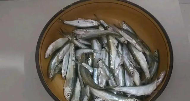 夏天吃鱼，懂行的专挑它！比鲫鱼营养，比鲤鱼鲜，不懂吃真可惜