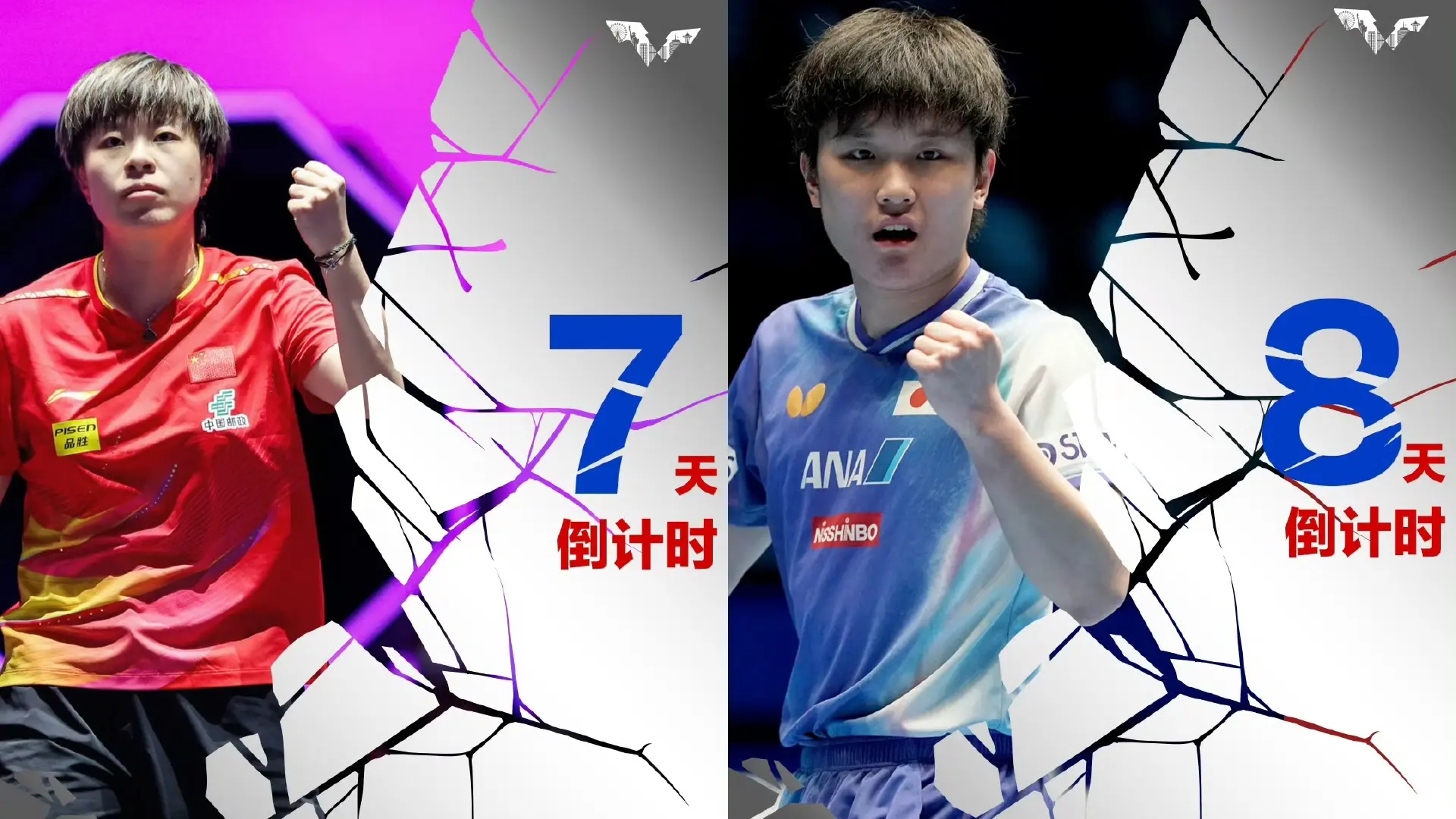 WTT美国大满贯倒计时海报有玄机，最终版本肯定是她，球迷很期待