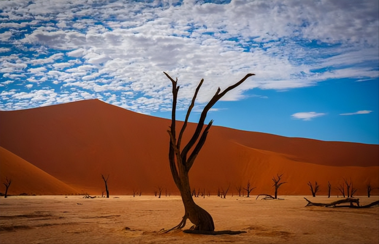人临死前是非常平静还是非常恐惧?心理学家的回答很统一 人临死前是非常平静还是非常恐惧?心理学家的回答很统一