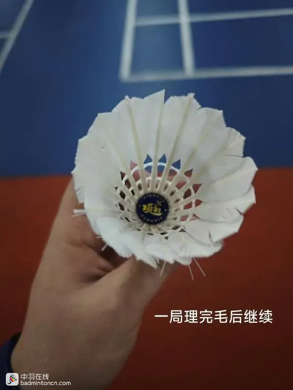 试打测评--荣昌羽球，一场卖拐的游戏！