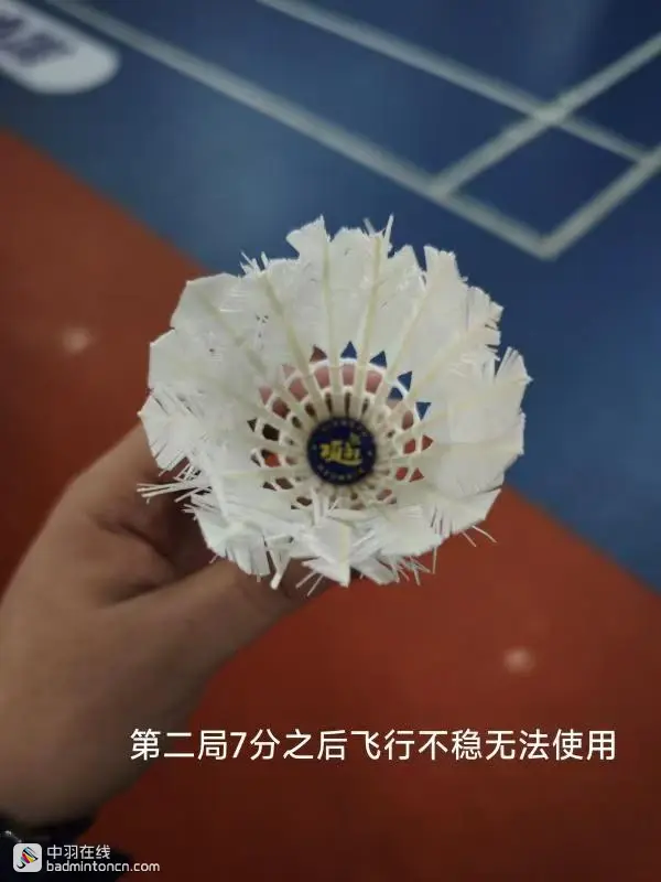 试打测评--荣昌羽球，一场卖拐的游戏！