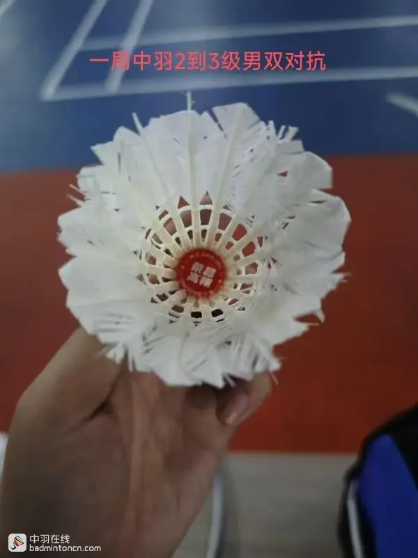 试打测评--荣昌羽球，一场卖拐的游戏！