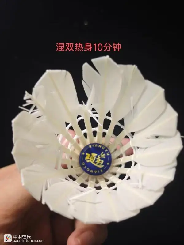 试打测评--荣昌羽球，一场卖拐的游戏！