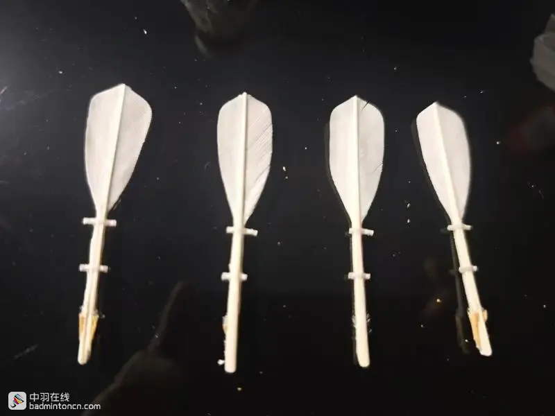 试打测评--荣昌羽球，一场卖拐的游戏！