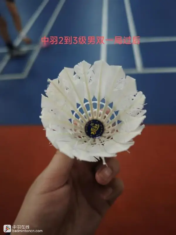 试打测评--荣昌羽球，一场卖拐的游戏！