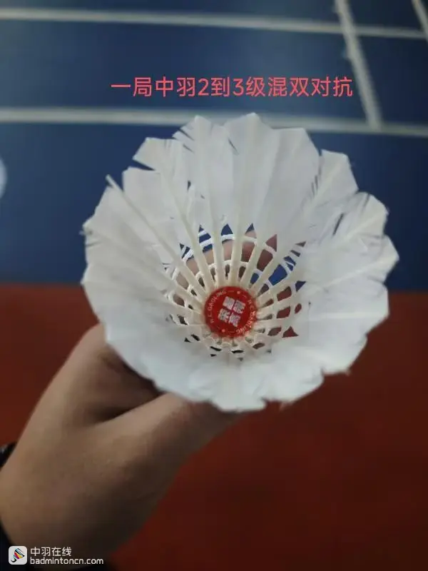 试打测评--荣昌羽球，一场卖拐的游戏！