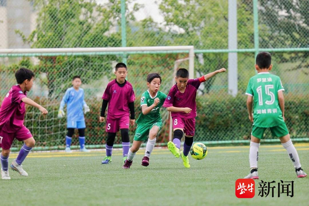 昆山6所学校登榜“2024年度全国青少年校园足球特色学校”