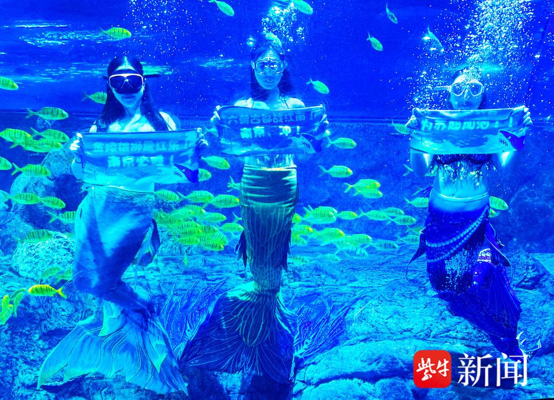 美人鱼加盟苏超啦啦队，苏州儿童近期逛南京海底世界可免票