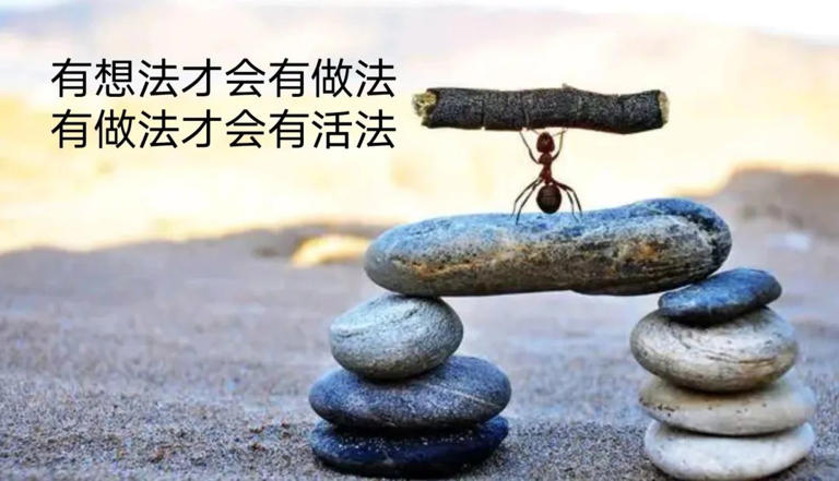 想法与活法