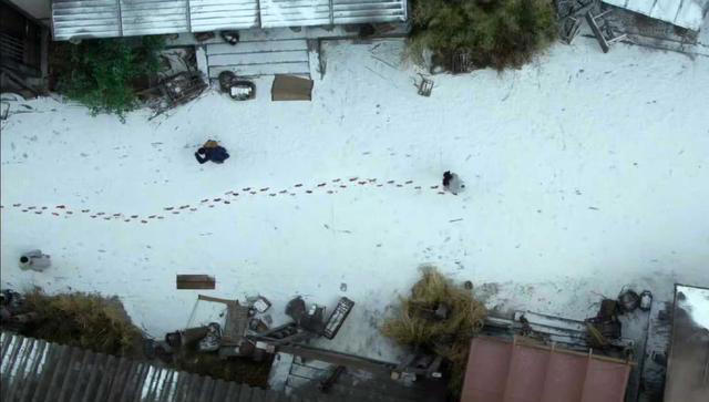 同样演“光脚走路”，31岁白鹿与33岁杨紫，谁更有破碎感