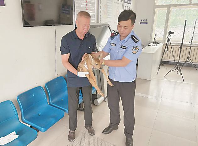 ������·С¹ ����Я�־���