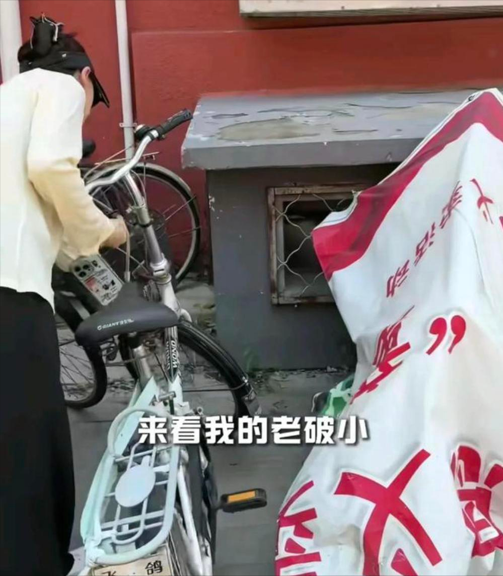 32岁奥运冠军何可欣搬家，从豪宅搬到50平老破小，原因曝光引争议