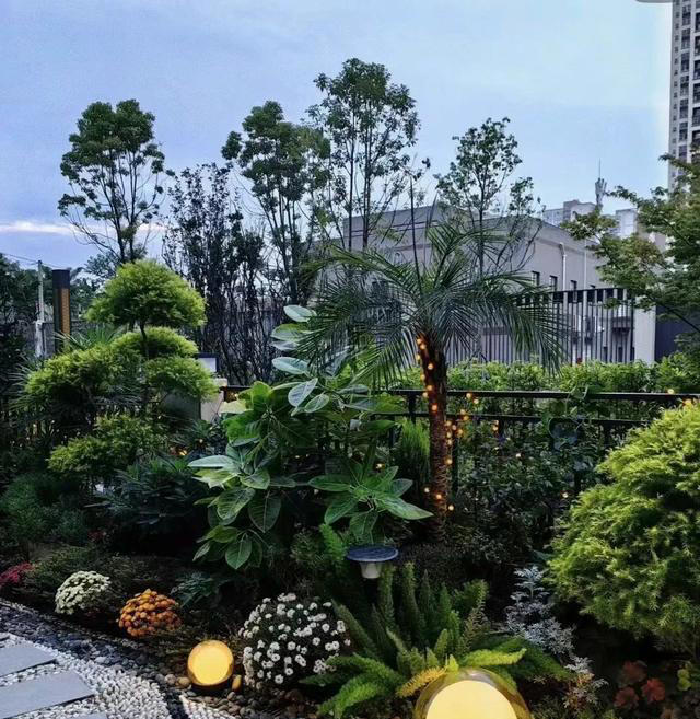 南京一户人家因太会布置火了，太有禅意的小院，一进门就不想离开