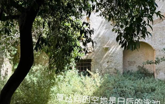 陈赫前妻许婧在意大利买宅子，民宿开到美洲，外国帅老公替她看店
