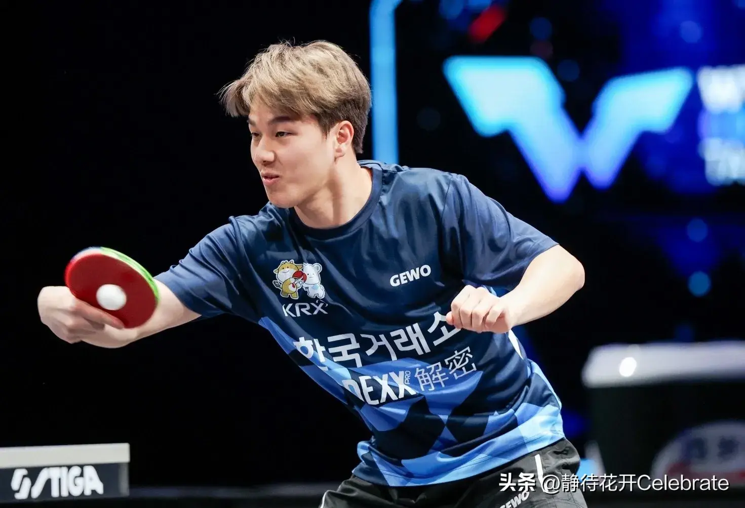 WTT挑战赛16强产生6席，向鹏淘汰，张本智和3:2逆转徐瑛彬晋级