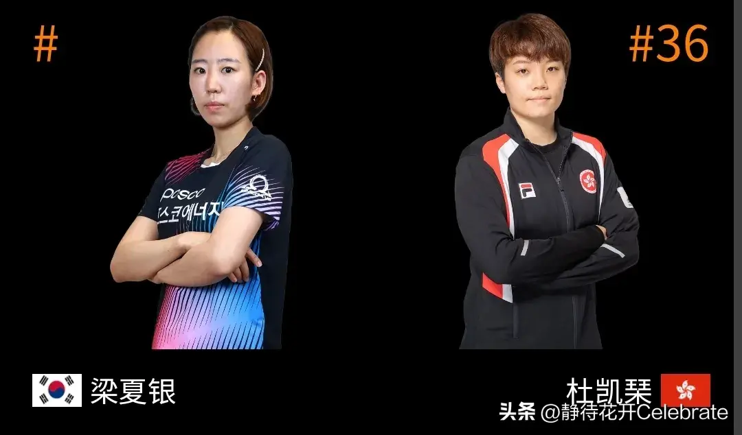 女单16强:国乒8胜2负，日本队五席，韩国队剩独苗，申裕斌一轮游