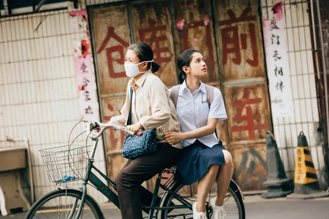正在热播的五部电视剧，《桃花映江山》排在倒数，你在追哪一部？