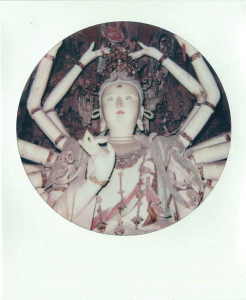 ������+��Ӱ�����±����ӽ�