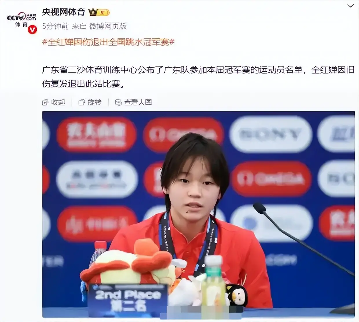 误会太深！周继红上任第6天，全红婵伤愈首秀锁定，郭晶晶说对了