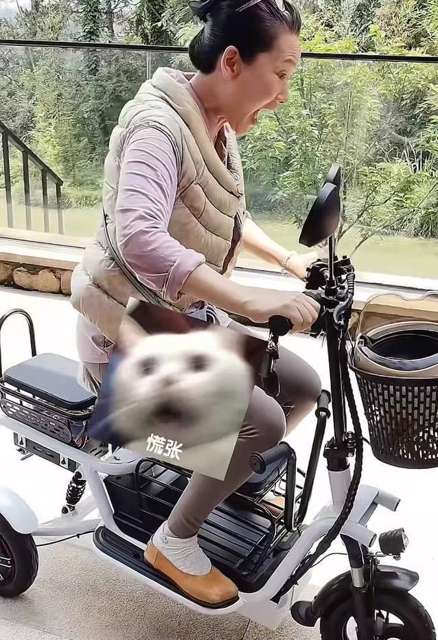 何赛飞别墅练三轮，62岁喊“刹不住”，网友：豪宅主人咋这么逗？