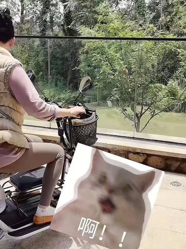 何赛飞别墅练三轮，62岁喊“刹不住”，网友：豪宅主人咋这么逗？