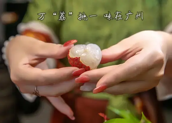 广州荔枝，甜了两千年！